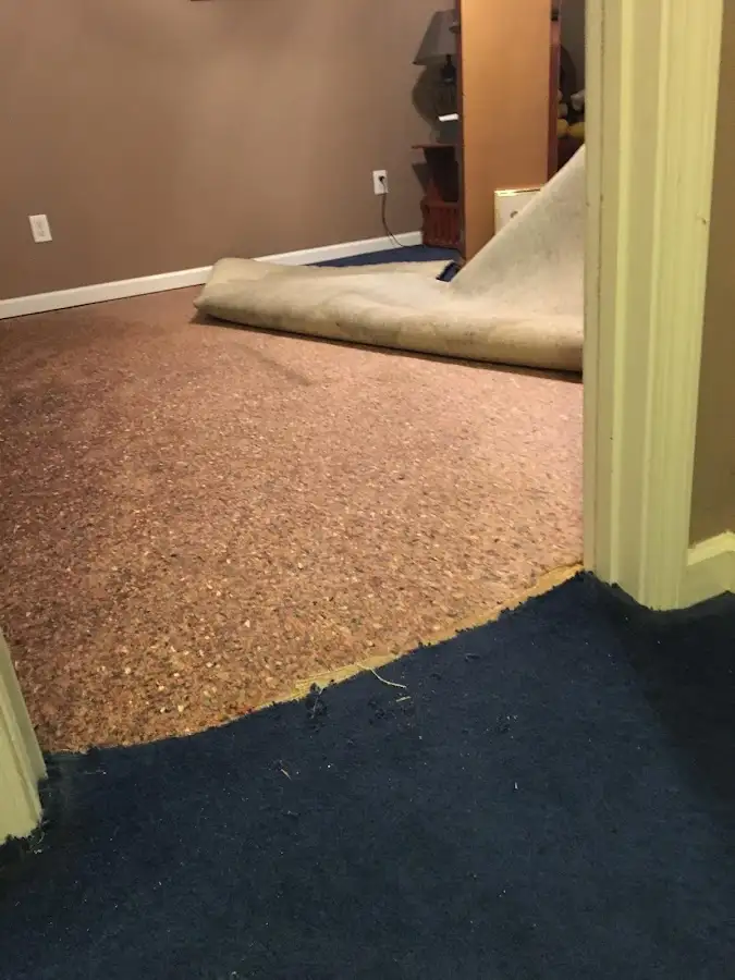 Carpet pad removal revealing water damage during Drying & Dehumidification in Wolfforth