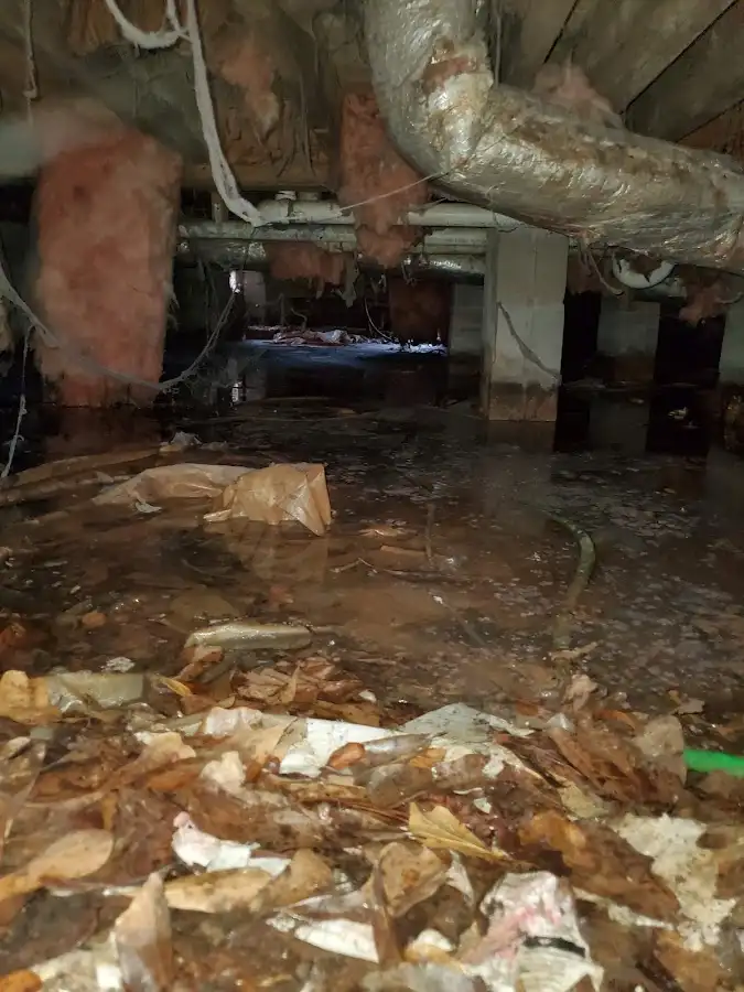 Crawl space flood assessment for Commercial Water Damage Restoration in Wolfforth
