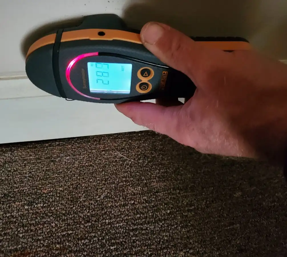 Moisture detection at baseboard during Sewage Cleanup & Sanitation in Wolfforth